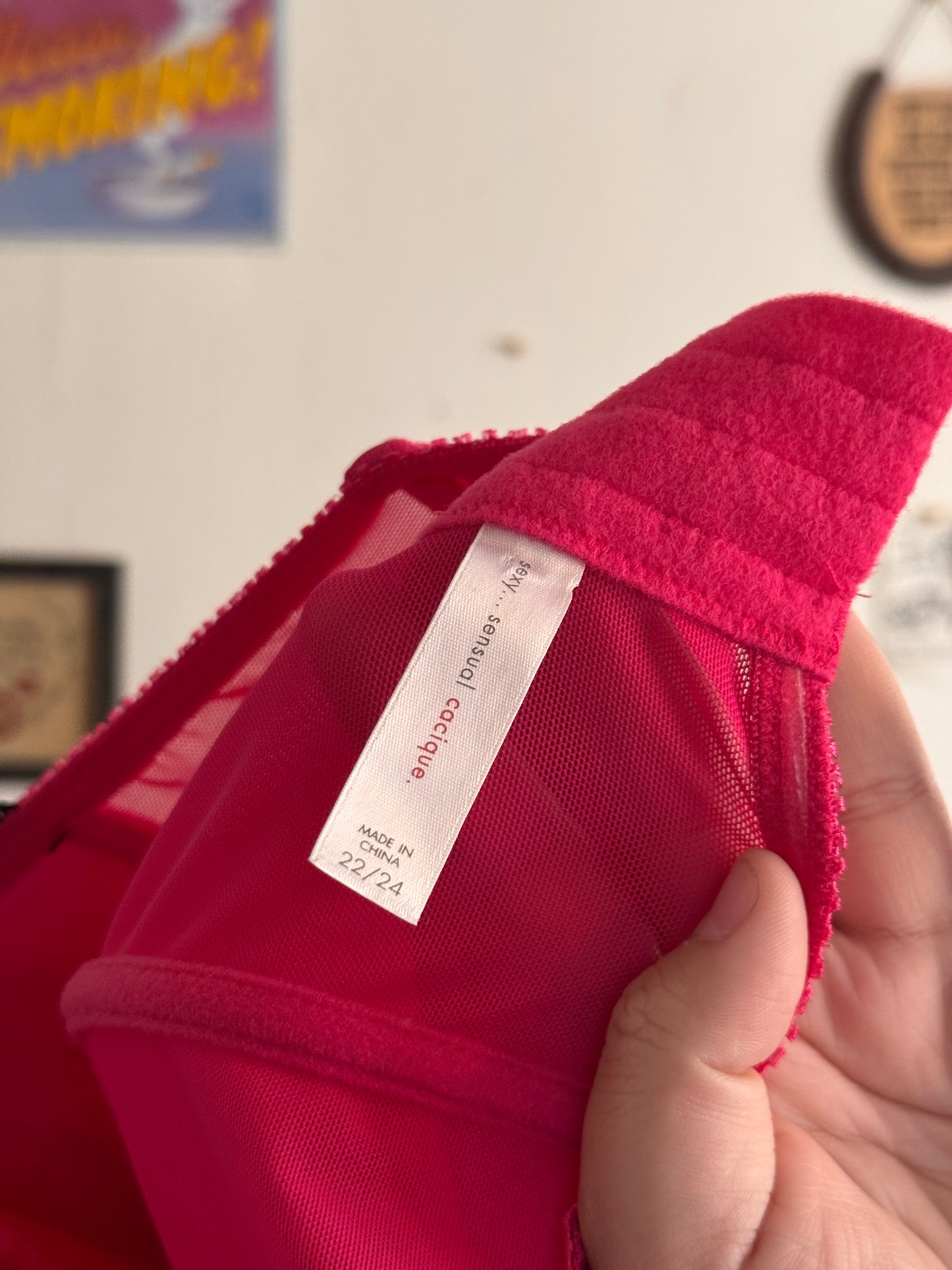 Pink & Black Cacique Corset (22)